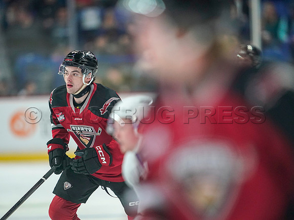 Wes Shaw Vancouver Giants make a 3rd period push to take the Wenantchee Wild 20250103 -275015