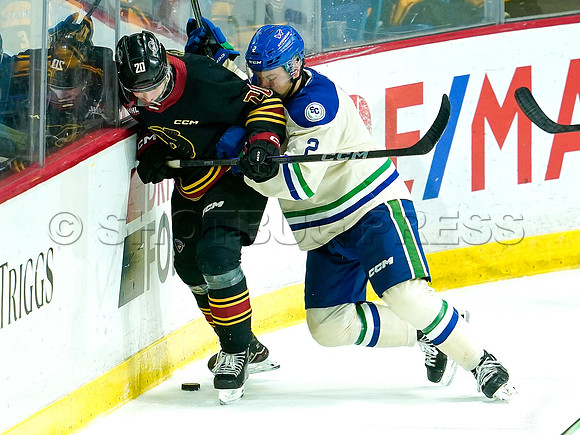 Wes Shaw Swift Current Broncos at Vancouver Giants 20250126 -279781