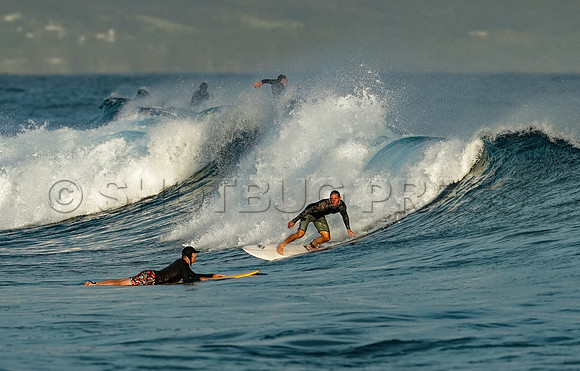 Wes Shaw Surfing 20240906 -211732