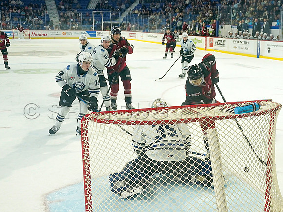 Wes Shaw Vancouver Giants make a 3rd period push to take the Wenantchee Wild 20250103 -275821