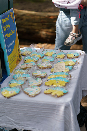 Vyshyvanka Day Picnic, Burnaby, Canada