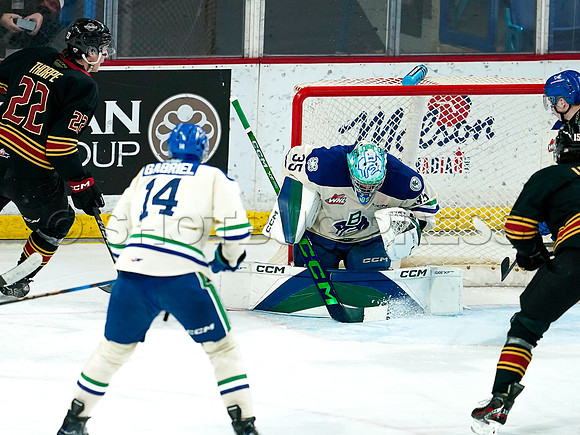 Wes Shaw Swift Current Broncos at Vancouver Giants 20250126 -279676