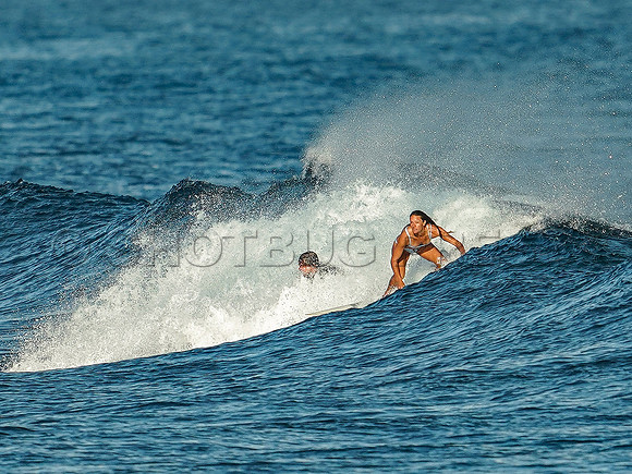 Wes Shaw Surfing 20240908 -215119