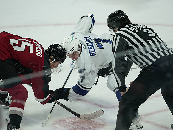 Wes Shaw Victoria Royals at Vancouver Giants  20250215 -282276