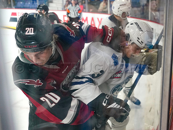 Wes Shaw Vancouver Giants make a 3rd period push to take the Wenantchee Wild 20250103 -275741