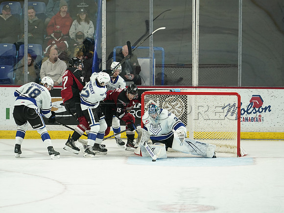 Wes Shaw Victoria Royals at Vancouver Giants  20250215 -282314