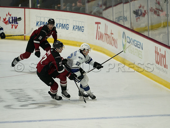 Wes Shaw Victoria Royals at Vancouver Giants  20250215 -282309