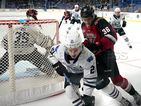 Wes Shaw Vancouver Giants make a 3rd period push to take the Wenantchee Wild 20250103 -271605