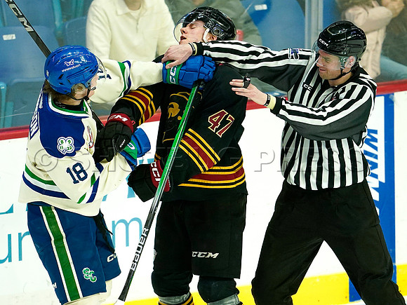 Wes Shaw Swift Current Broncos at Vancouver Giants 20250126 -279620