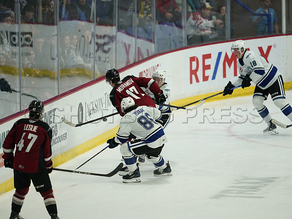 Wes Shaw Victoria Royals at Vancouver Giants  20250215 -282312