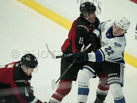 Wes Shaw Victoria Royals at Vancouver Giants  20250215 -282332