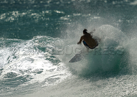 Wes Shaw Surfing 20240905 -209800