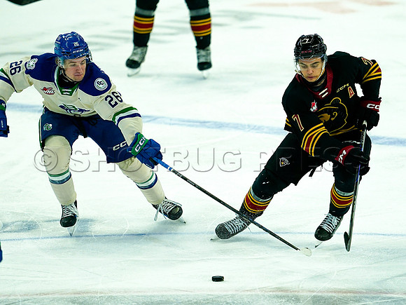 Wes Shaw Swift Current Broncos at Vancouver Giants 20250126 -279552