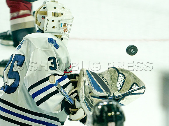 Wes Shaw Vancouver Giants make a 3rd period push to take the Wenantchee Wild 20250103 -276127