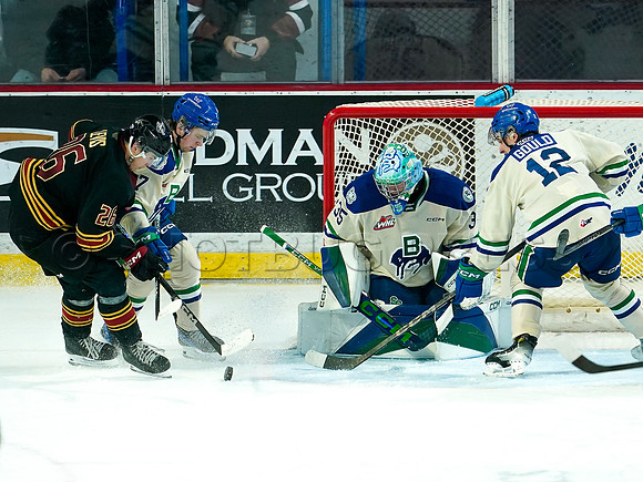 Wes Shaw Swift Current Broncos at Vancouver Giants 20250126 -279746