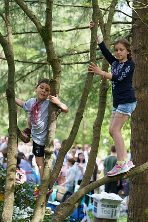 Vyshyvanka Day Picnic, Burnaby, Canada