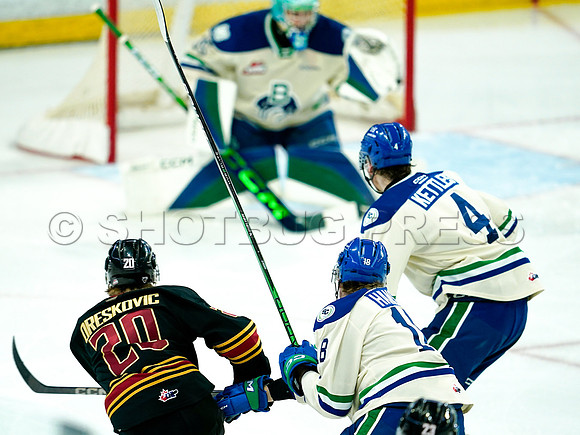 Wes Shaw Swift Current Broncos at Vancouver Giants 20250126 -279451