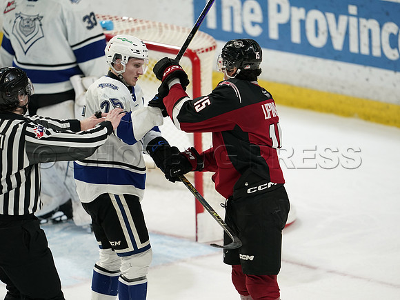 Wes Shaw Victoria Royals at Vancouver Giants  20250215 -282295