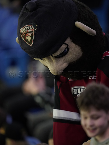 Wes Shaw Victoria Royals at Vancouver Giants  20250215 -282329