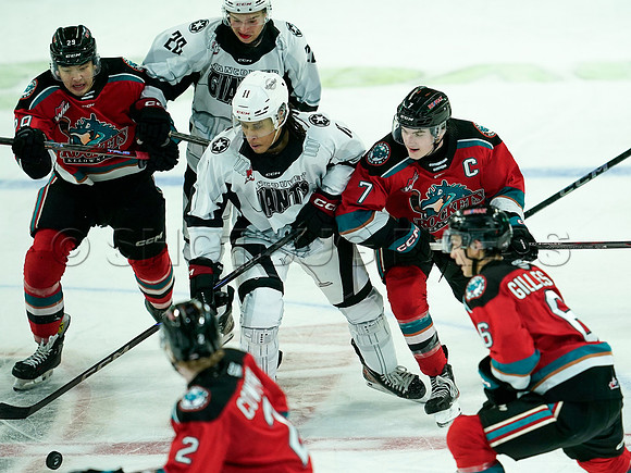 Wes Shaw Kelowna Rockets at Vancouver Giants 20241229 -260659