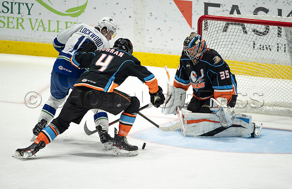 Abbotsford Canucks defeat San Diego Gulls 4-2 on Sunday, Jan 23, 2022 at Abbotsford Centre.