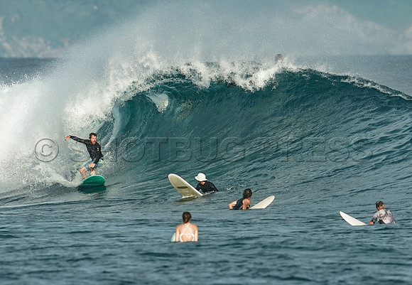 Wes Shaw Surfing 20240906 -212462