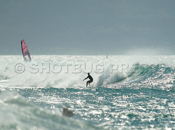 Wes Shaw Surfing 20240905 -209206