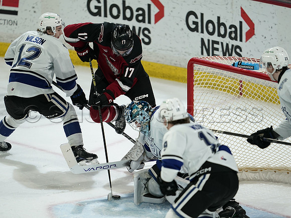 Wes Shaw Victoria Royals at Vancouver Giants  20250215 -282287