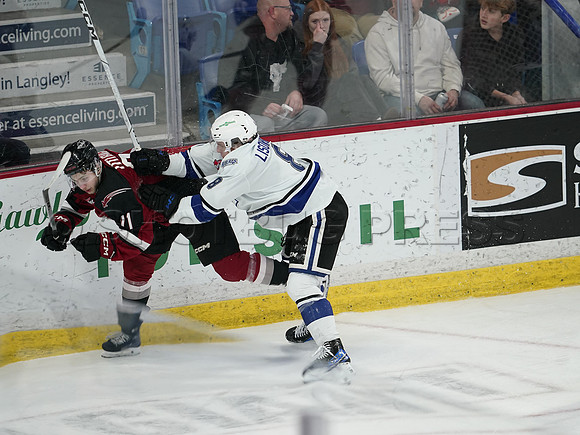 Wes Shaw Victoria Royals at Vancouver Giants  20250215 -282289