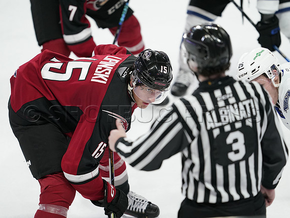 Wes Shaw Victoria Royals at Vancouver Giants  20250215 -282294
