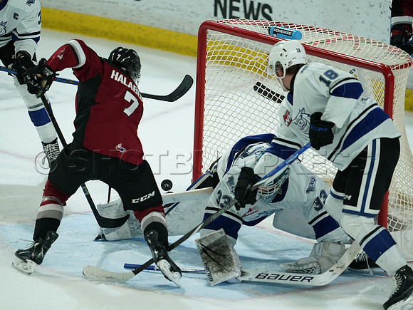 Wes Shaw Victoria Royals at Vancouver Giants  20250215 -282277