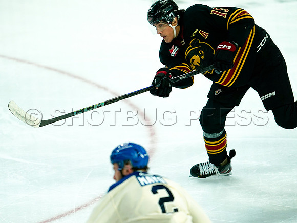 Wes Shaw Swift Current Broncos at Vancouver Giants 20250126 -279590