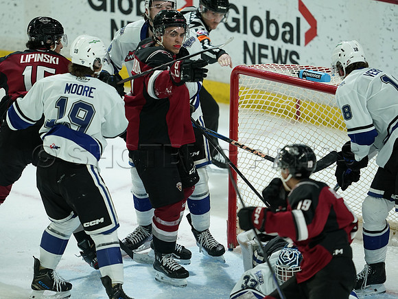 Wes Shaw Victoria Royals at Vancouver Giants  20250215 -282279