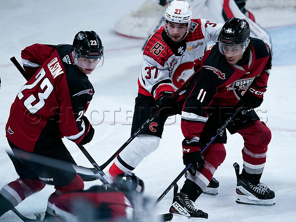 Wes Shaw Prince George Cougars at Vancouver Giants 20250217 -283098