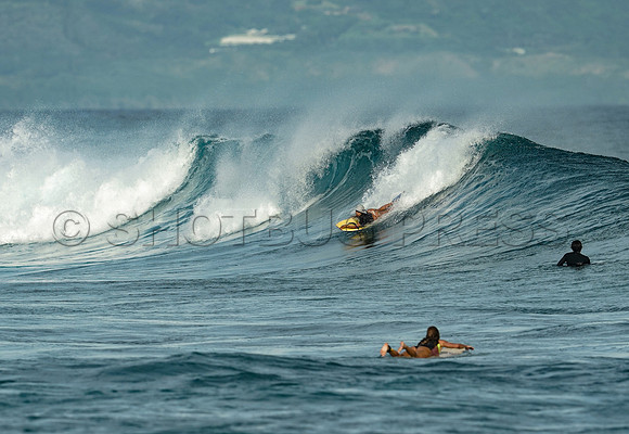 Wes Shaw Surfing 20240906 -212393