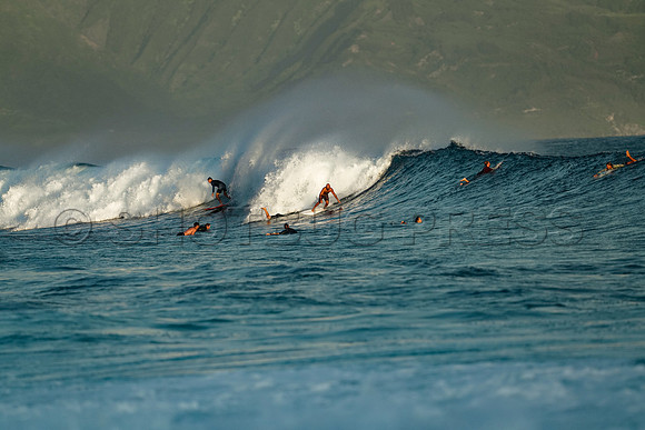 Wes Shaw Surfing 20240906 -211572
