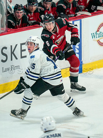 Wes Shaw Vancouver Giants make a 3rd period push to take the Wenantchee Wild 20250103 -274062
