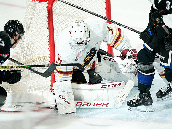 Wes Shaw Victoria Royals slam thhe Giants 6-3 20241214 -255729