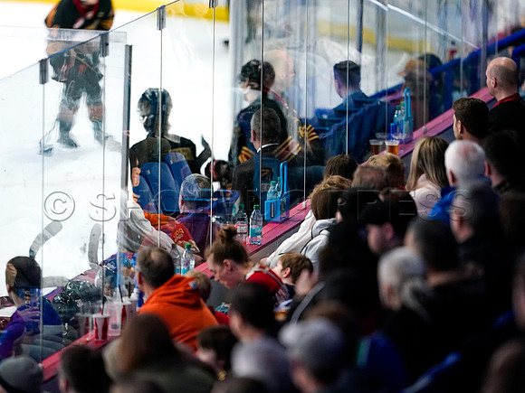 Wes Shaw Swift Current Broncos at Vancouver Giants 20250126 -279588