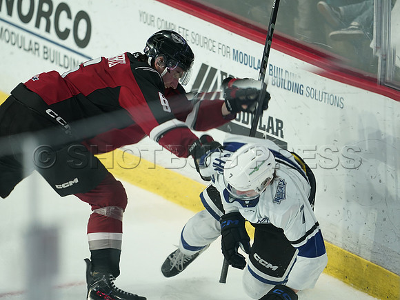 Wes Shaw Victoria Royals at Vancouver Giants  20250215 -282300