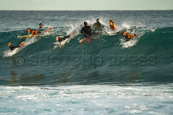 Wes Shaw Surfing 20240906 -211773