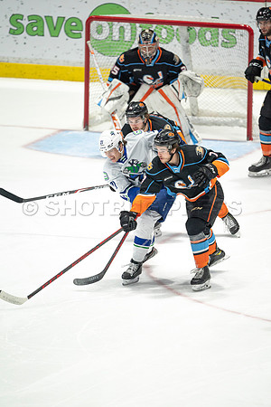 Abbotsford Canucks defeat San Diego Gulls 4-2 on Sunday, Jan 23, 2022 at Abbotsford Centre.